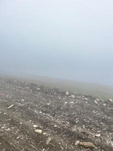 IMG_1174.jpeg