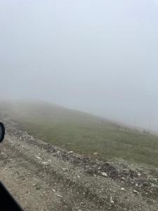 IMG_1176.jpeg