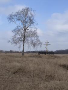 IMG_20230326_133317.jpg