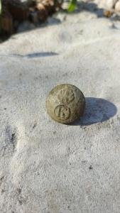 IMG_20260903_164542_579.jpg