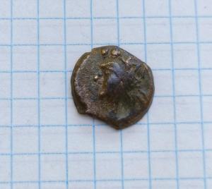 IMG_20260911_113307.jpg