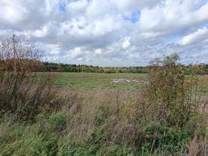 IMG_20260920_134706.jpg