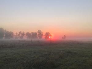IMG_20260922_062611.thumb.jpg.a617bbd9c6e241403f50235d91d0a052.jpg