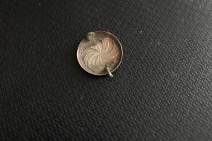 IMG_7929.jpeg