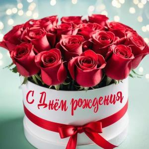 birthday-1143.thumb.jpg.056b634b3f53b4dde370ec6badef744c.jpg