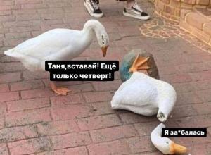 ehftxzhe_lg.thumb.jpg.92f00cf2d0103070a6618104e1375231.jpg