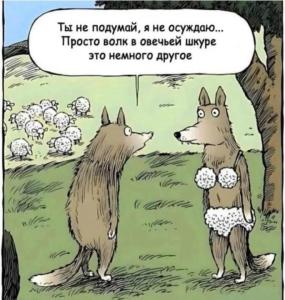 epfxv6mk_lg.thumb.jpg.b075446c72b04744f468786f818bf3ad.jpg