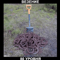 grow81