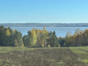 IMG_0546.jpeg