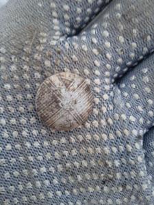 IMG_20260413_192840.thumb.jpg.277585e8f8a2331eaeecf42440ec5cd2.jpg