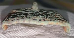 IMG_20261010_193947.jpg