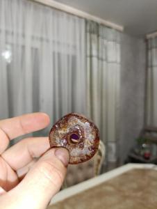 IMG_20261011_213826.jpg