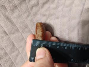 IMG_20261012_221235.jpg