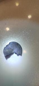 IMG_20261021_202756.jpg
