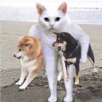 dimentra21